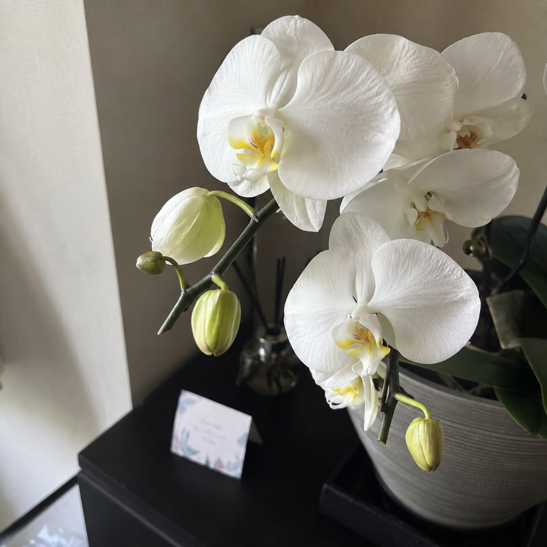 きらり 写メ日記