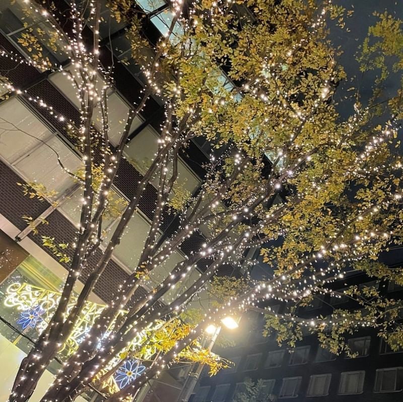 ゆきな 写メ日記