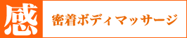 密着ボディマッサージ